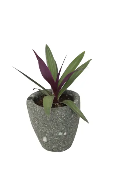 Product image 4 of the product “Planter, round, smooth, natural stone (Basanite), stonemasonry ”